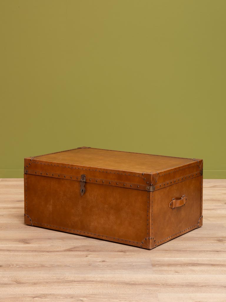 Trunk with studs - 1