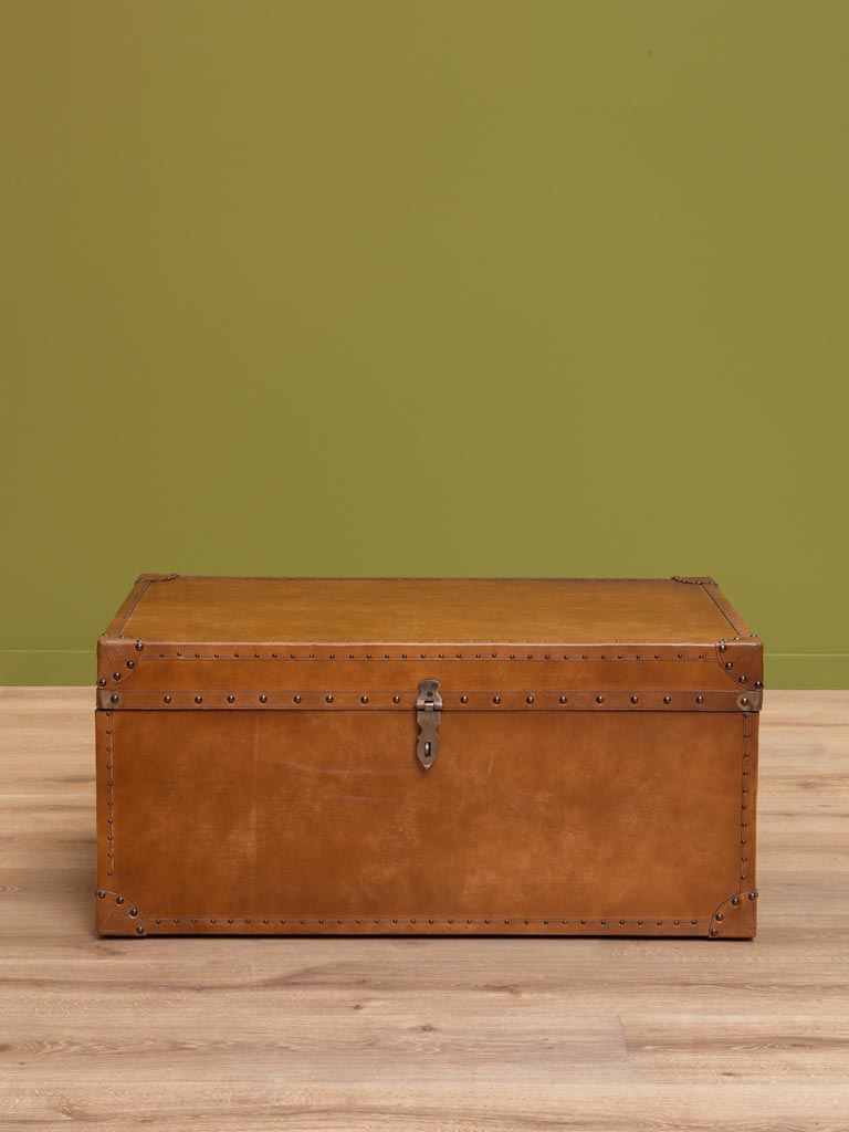 Trunk with studs - 5