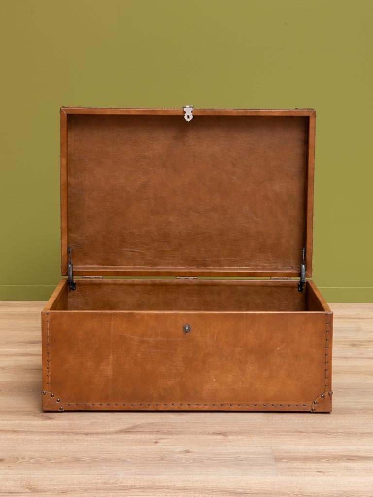 Trunk with studs - 7