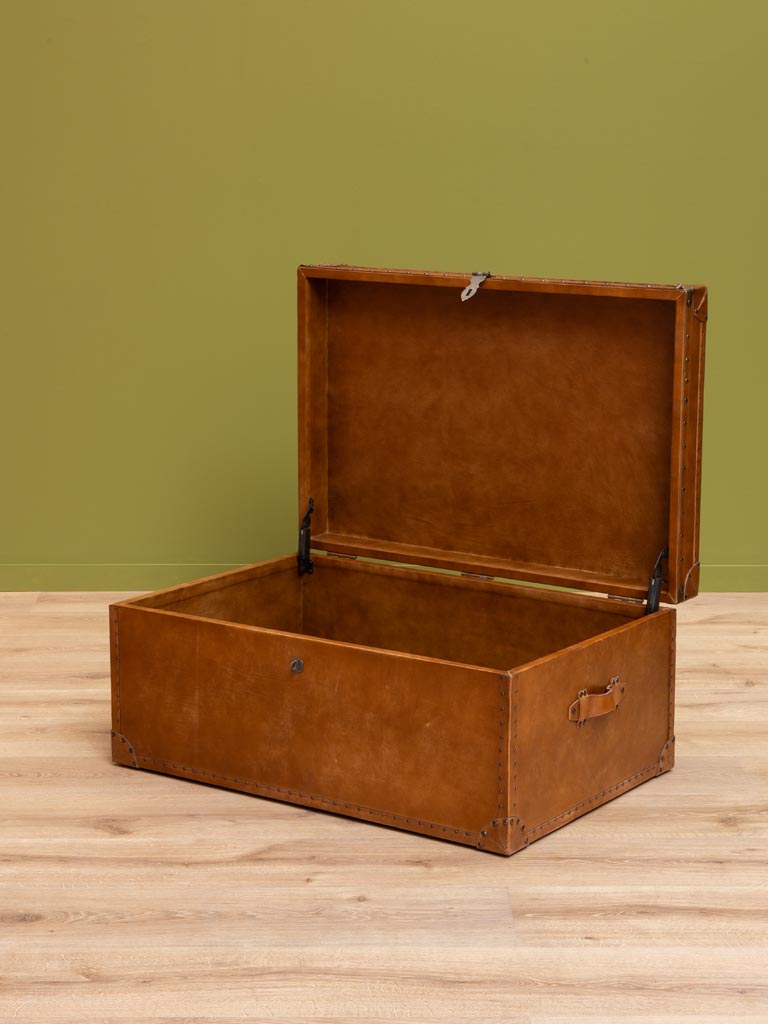 Trunk with studs - 6