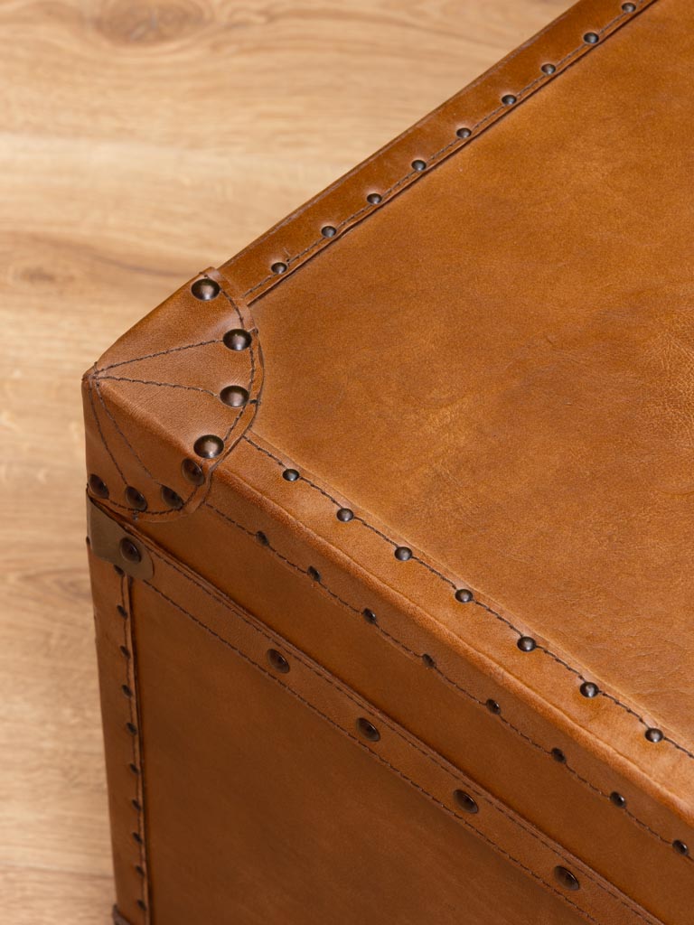 Trunk with studs - 3