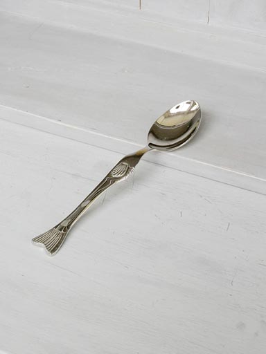 Big spoon 