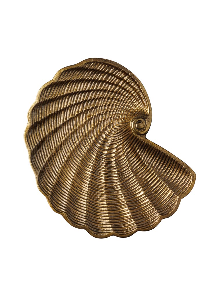 Dish golden shell - 2