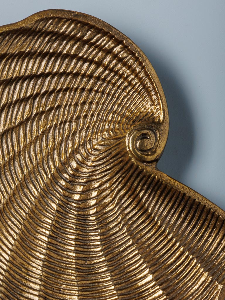 Dish golden shell - 3