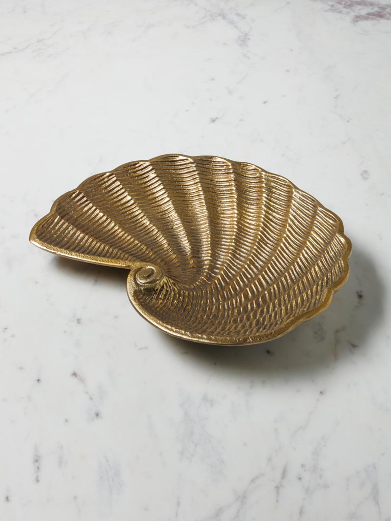 Dish golden shell - 4