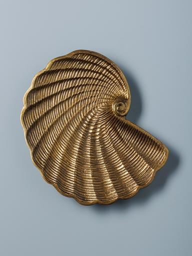 Dish golden shell