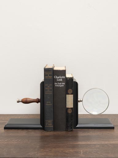 Bookends magnifier
