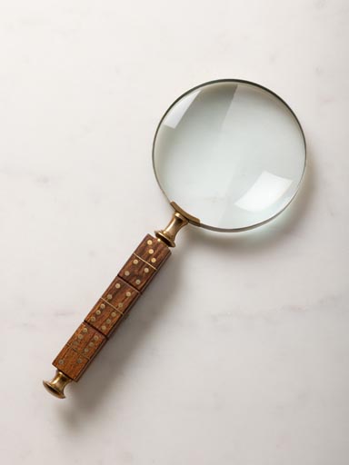 Magnifier with domino handle