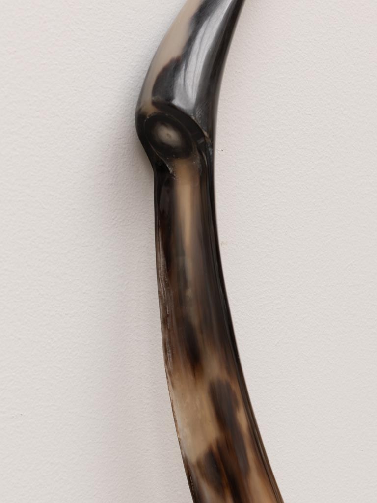 White horn shoehorn - 5