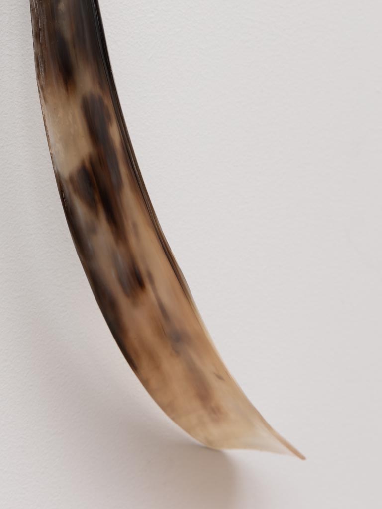 White horn shoehorn - 4