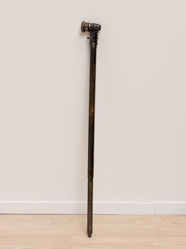 Telescopic walking stick - 4