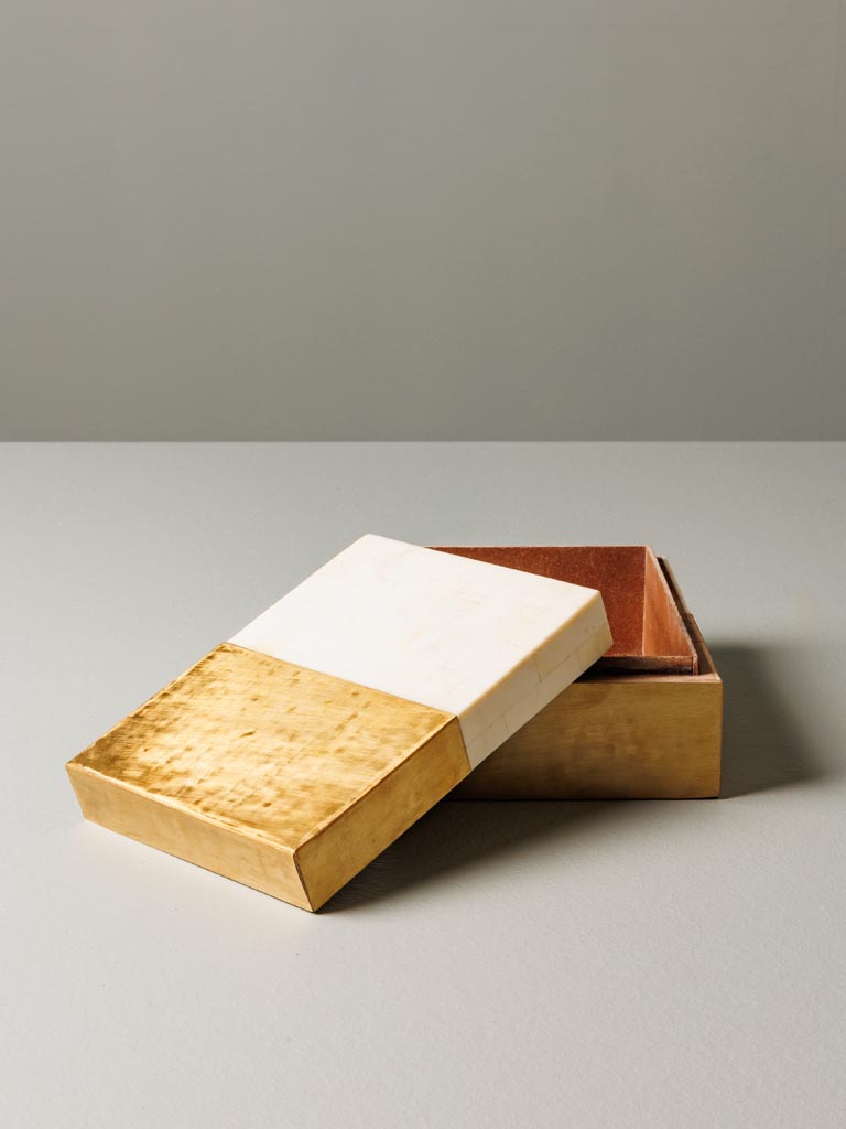 Brass and resin box Fifty Fifty - 5