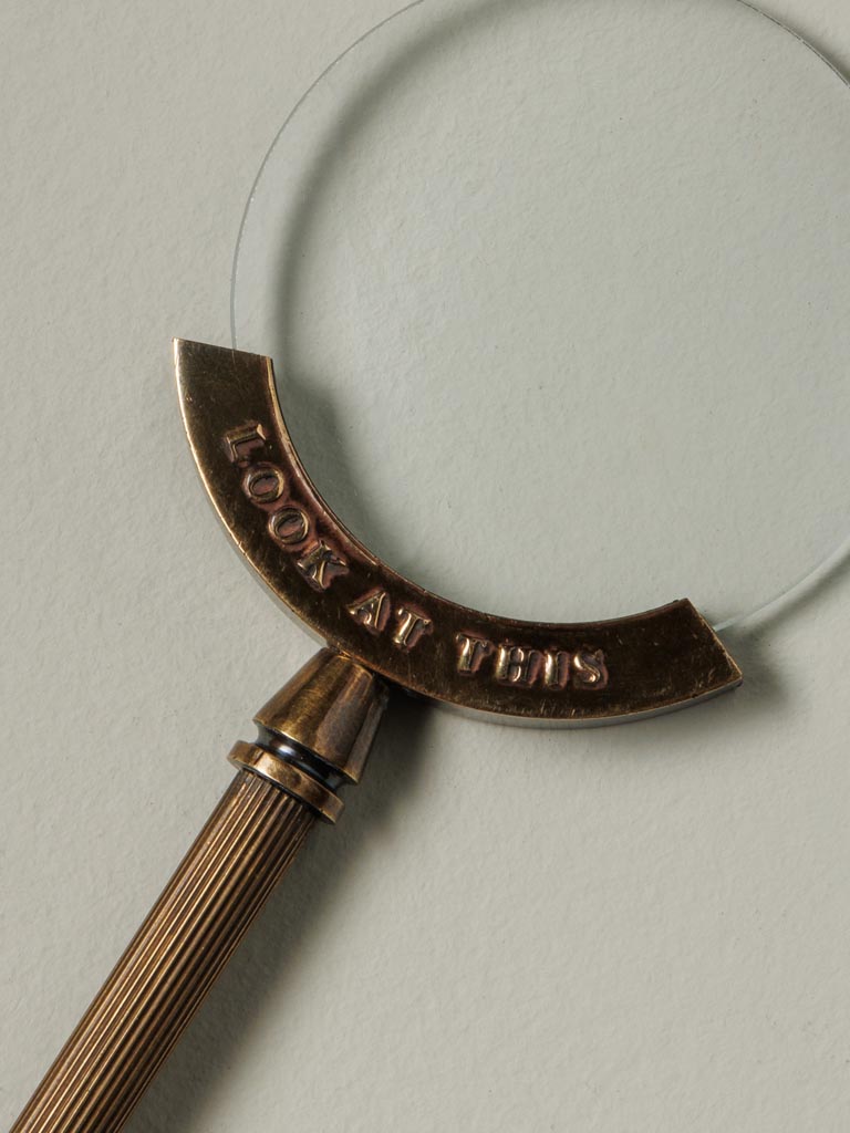 Magnifier 