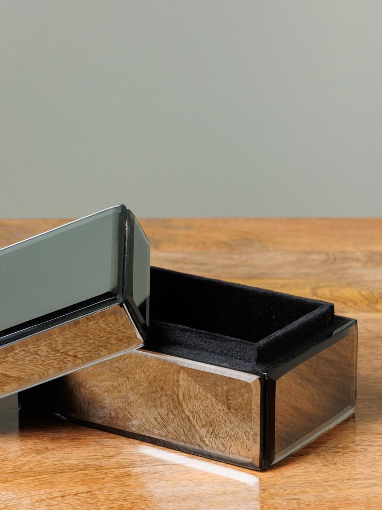 Mirrored box smoked glass - 4