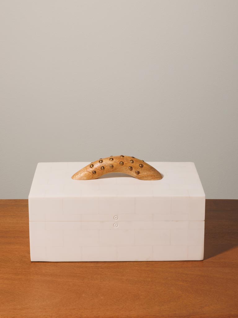 Box horn handle - 3