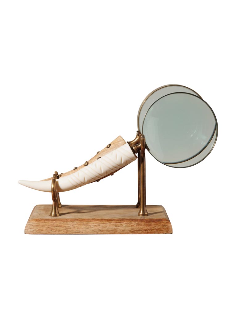 S/2 horn magnifier on stand - 2