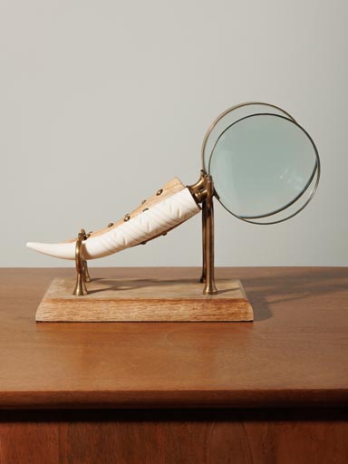 S/2 horn magnifier on stand