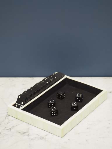 Domino and dices game on plate