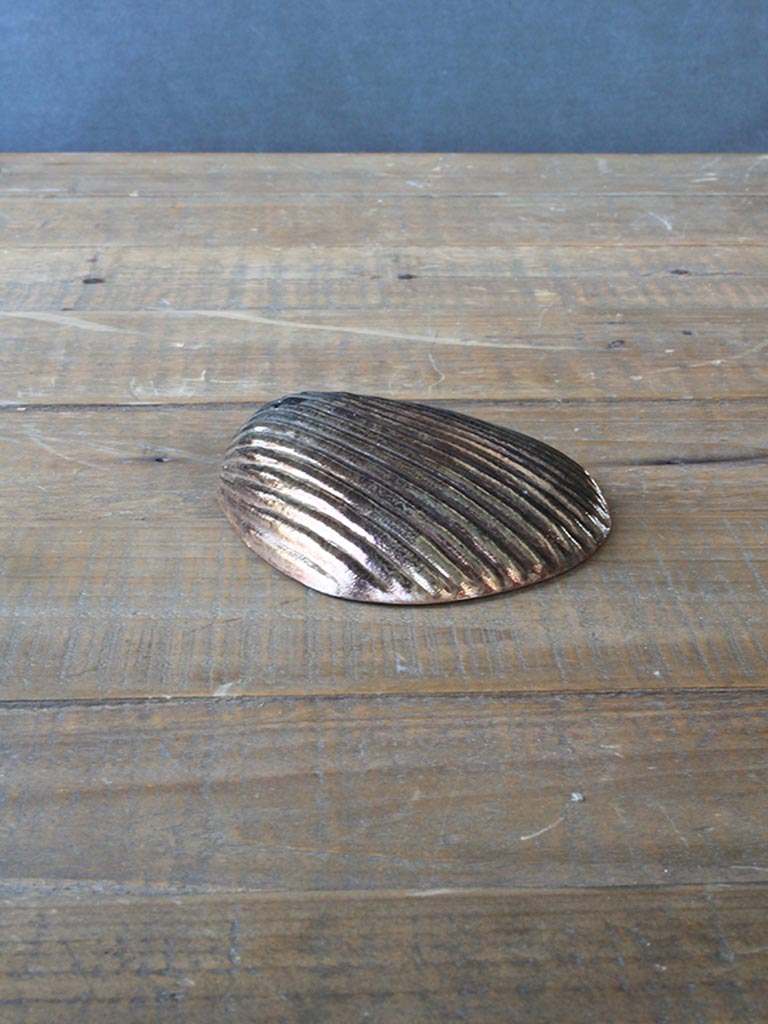 Copper glass shell. - 1