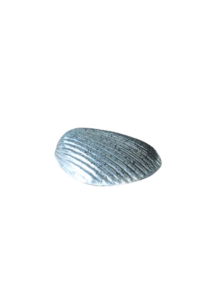 Silver glass shell. - 2