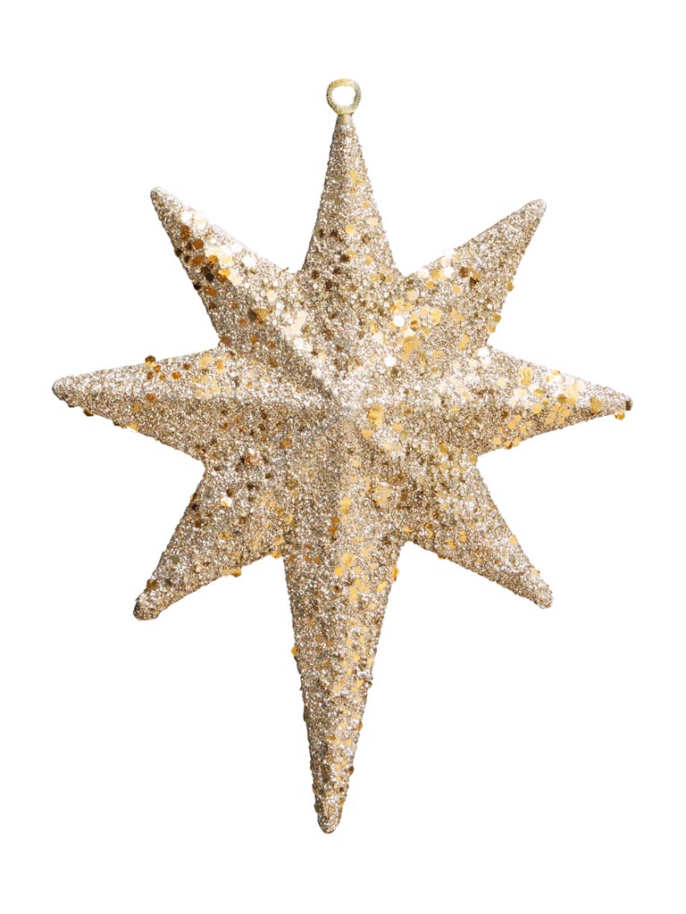 Large hanging lacquered Star - 2