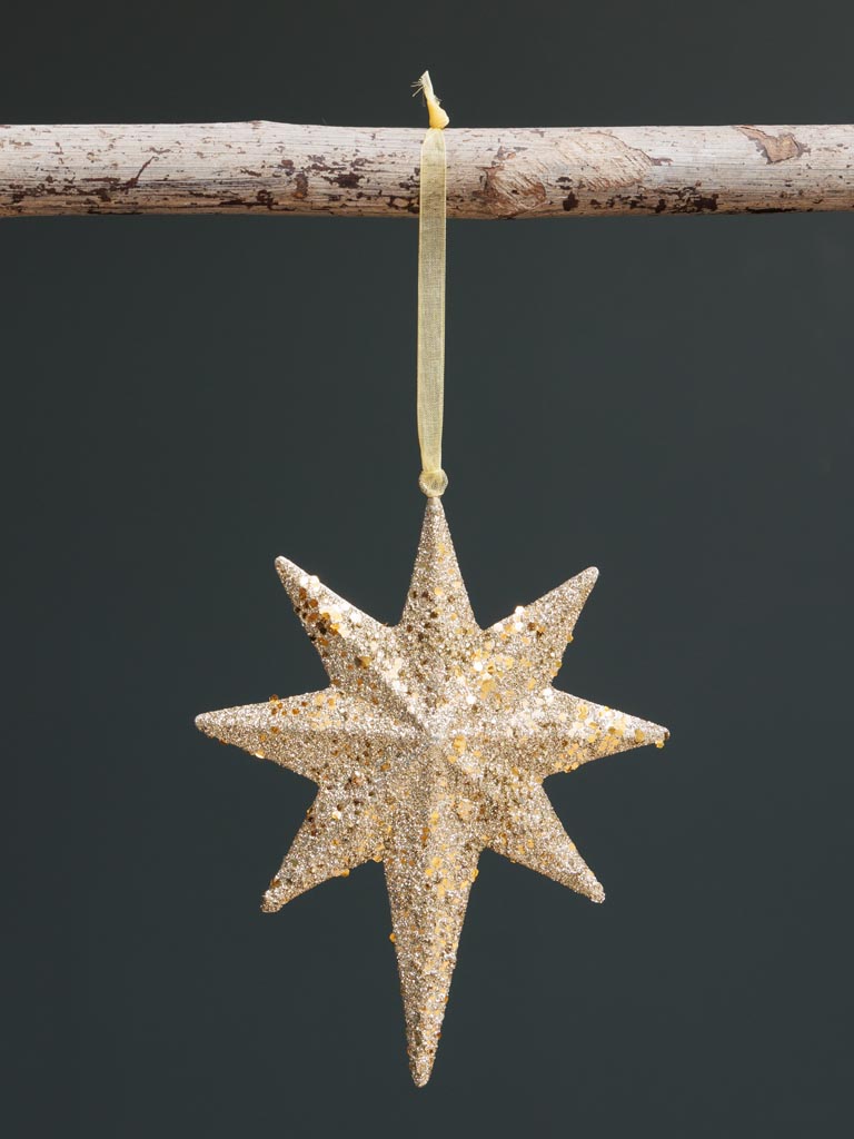 Large hanging lacquered Star - 1