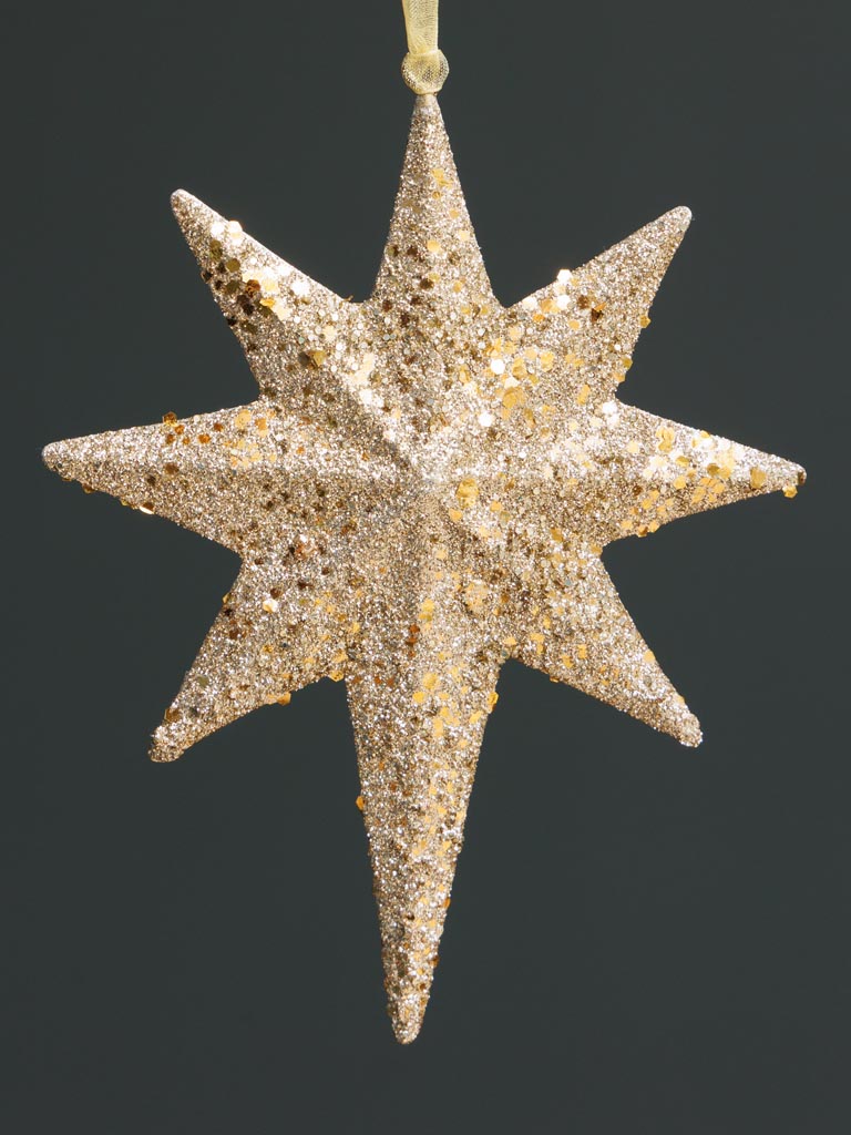 Large hanging lacquered Star - 3