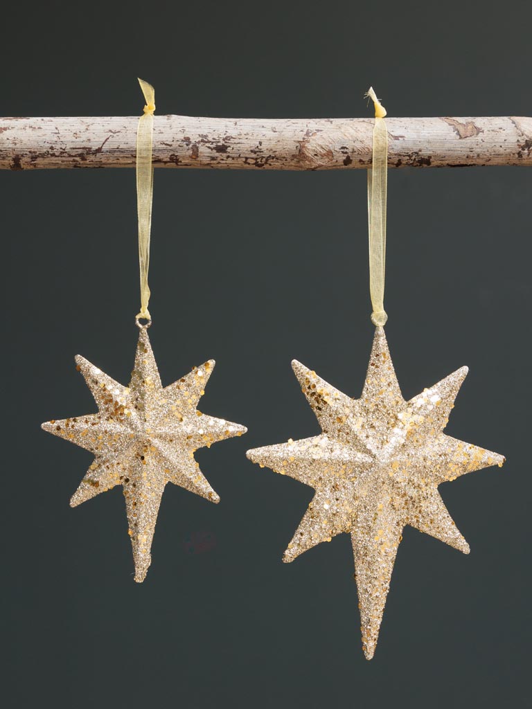 Large hanging lacquered Star - 4