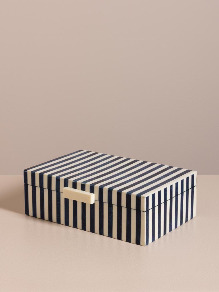 Boîte lignée bleue et blanche Fun - 1