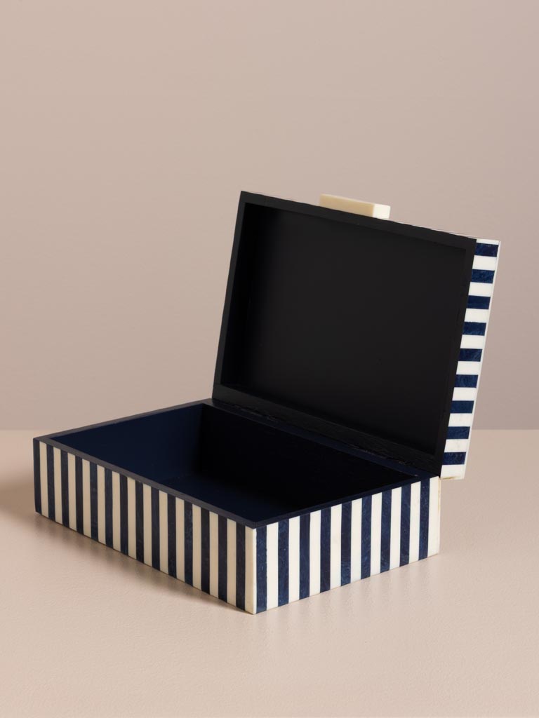 Boîte lignée bleue et blanche Fun - 5