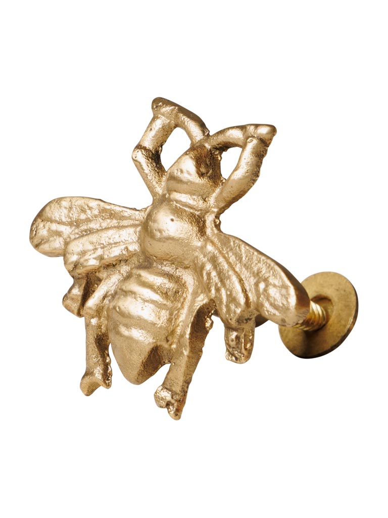 Golden knob bee - 2