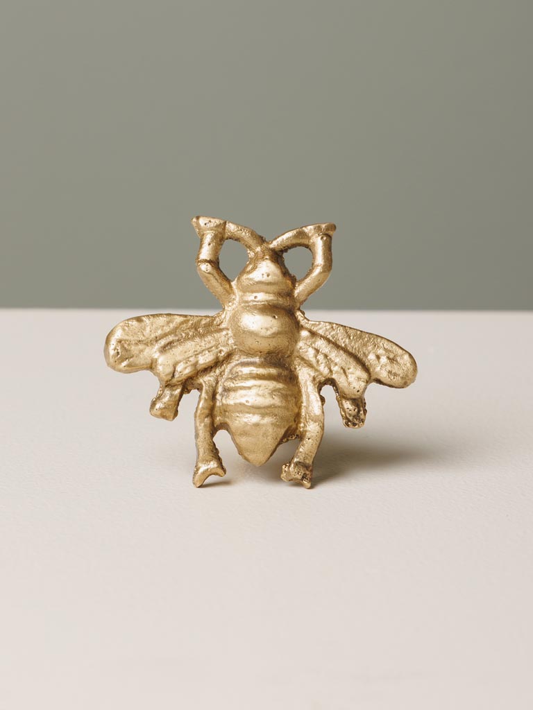 Golden knob bee - 3