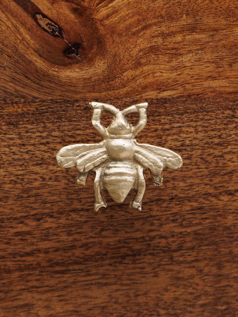 Golden knob bee - 5