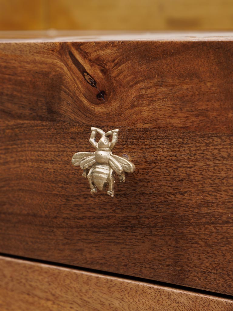 Golden knob bee - 4