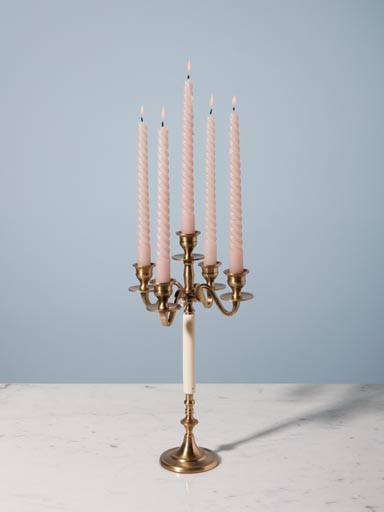Candelarum Napoléon
