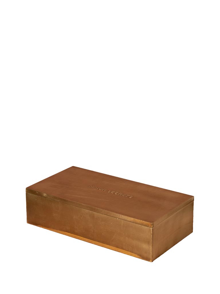 Boîte rectangulaire 'Minor secrets' - 2