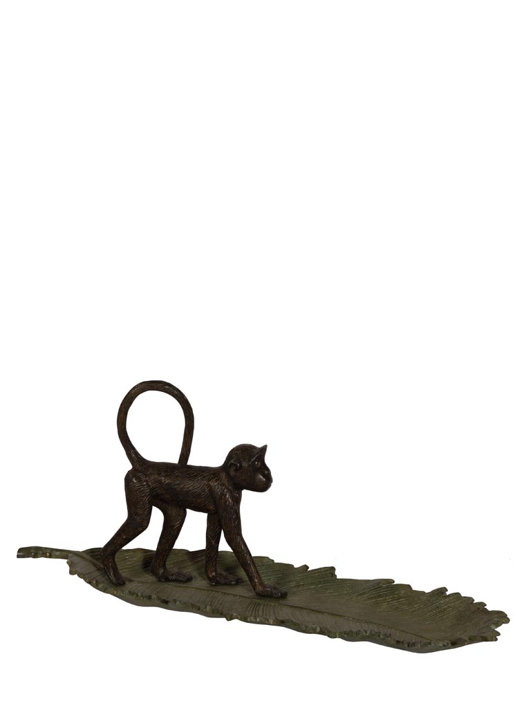 Monkey walking on leaf tray - 2