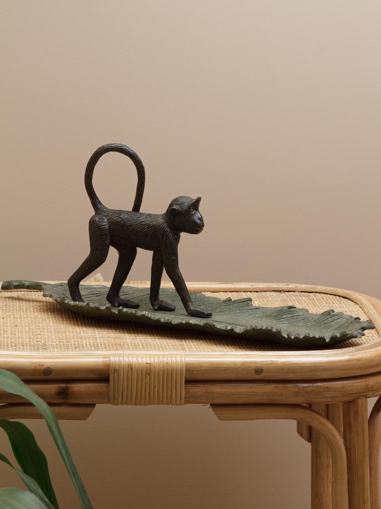 Monkey walking on leaf tray - 1