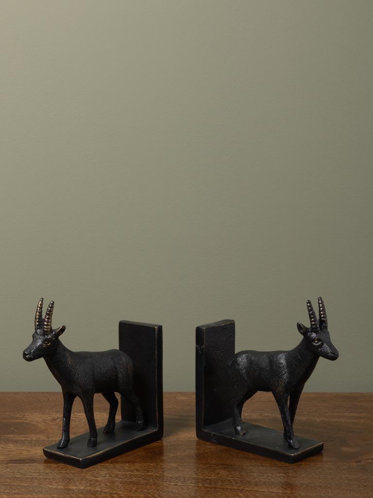 Bookends Chamois - 3