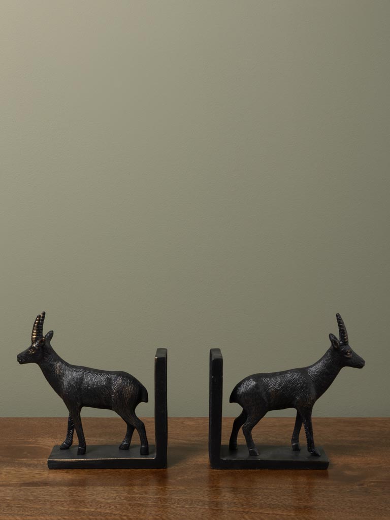 Bookends Chamois - 5