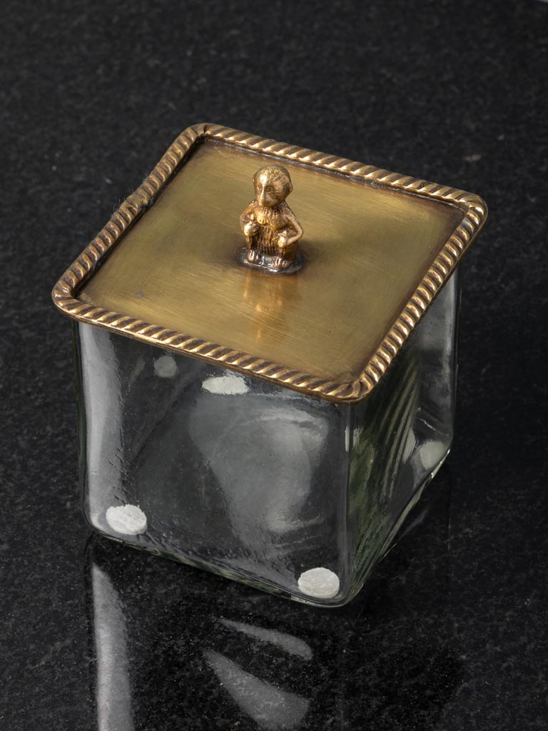 Square glass box with brass monkey lid - 3