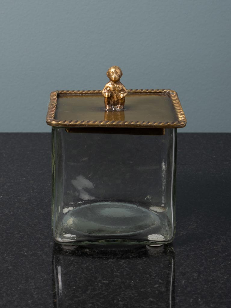 Square glass box with brass monkey lid - 4