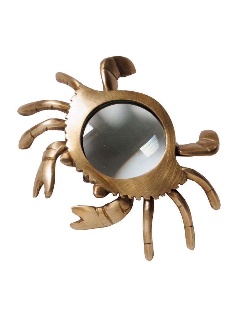 Small crab magnifier - 2