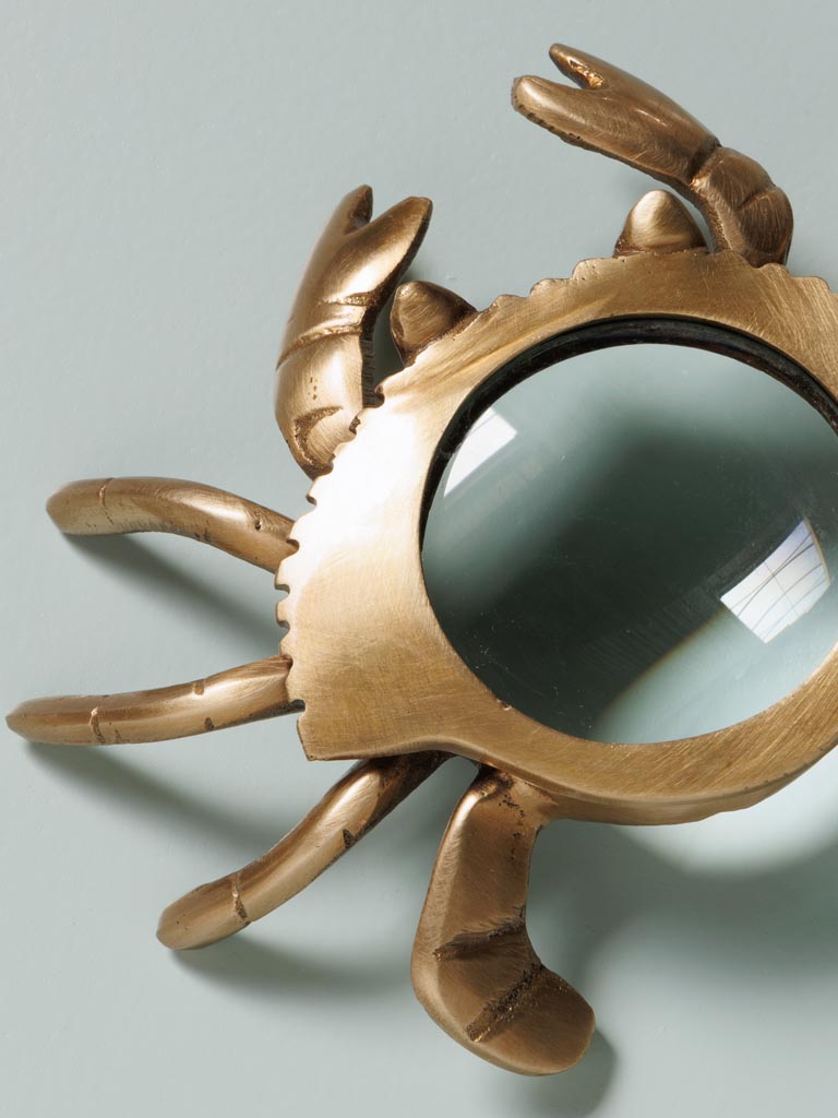 Small crab magnifier - 3