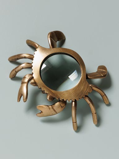 Small crab magnifier