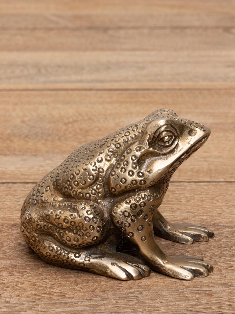 Frog bottle opener brass patina - 5