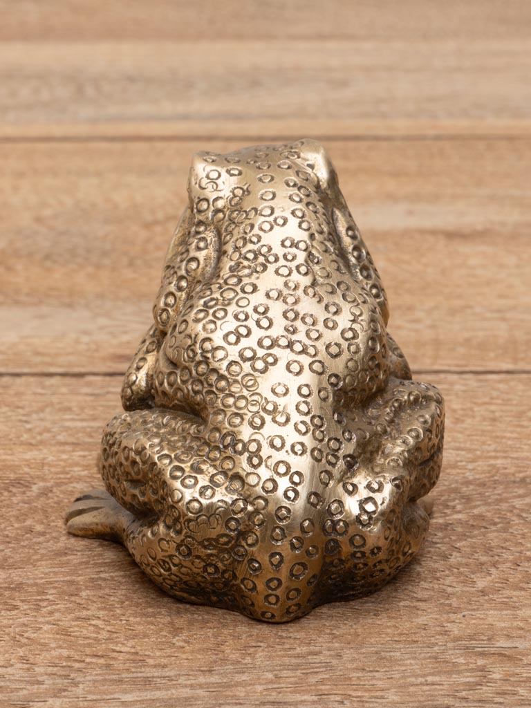 Frog bottle opener brass patina - 2