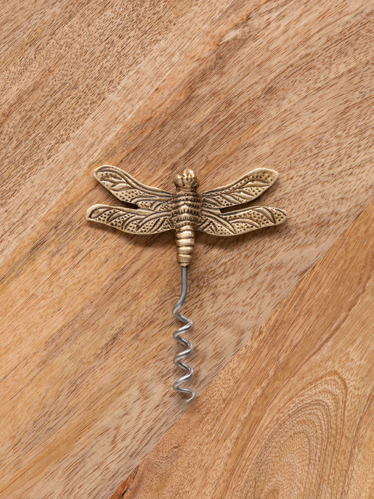 Cork screw dragonfly - 1