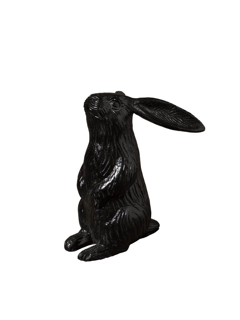 Lapin foncé tête levée - 2