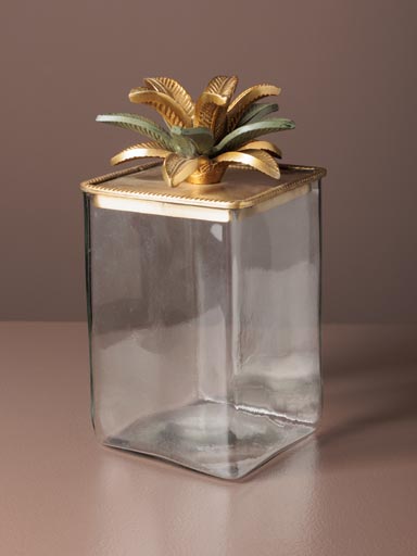 Box Palmas